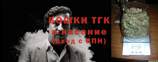 прущие грибы Лагань