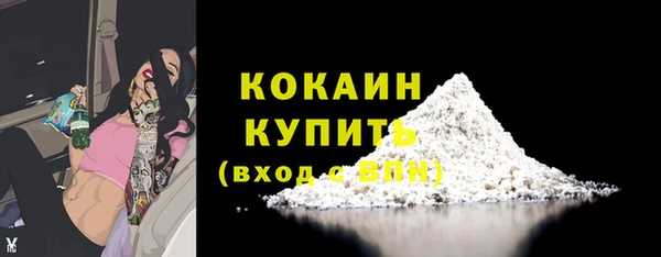 прущие грибы Ладушкин