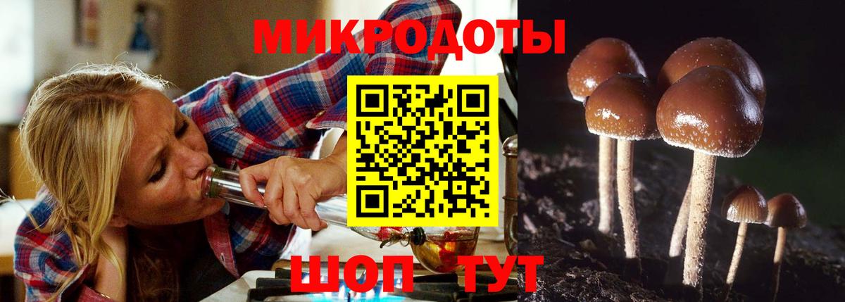 закладки  Псилоцибиновые грибы GOLDEN TEACHER  Вход с VPN  Южноуральск 